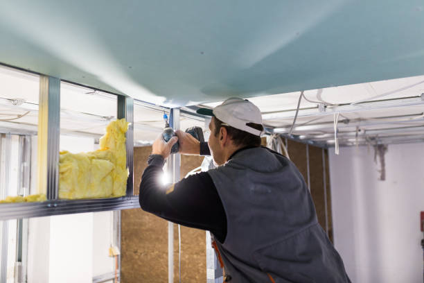 Best Insulation Installation Services in Potomac, MD