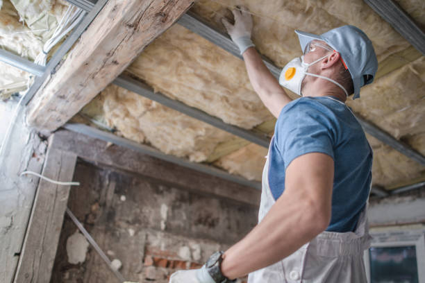 Best Residential Insulation in Potomac, MD